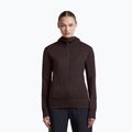 Bluză pentru femei Icebreaker Merino 260 Quantum IV LS Zip Hoodie bittersweet