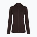 Bluză pentru femei Icebreaker Merino 260 Quantum IV LS Zip Hoodie bittersweet 9