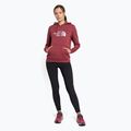Tricou de trekking pentru femei The North Face Drew Peak Pulover cu glugă cu glugă Wild ginger NF0A55EC6R41 2