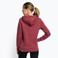 Tricou de trekking pentru femei The North Face Drew Peak Pulover cu glugă cu glugă Wild ginger NF0A55EC6R41 4