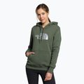 Hanorac de trekking pentru femei The North Face Drew Peak Pullover Hoodie verde NF0A55ECNYC1