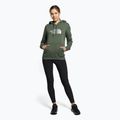 Hanorac de trekking pentru femei The North Face Drew Peak Pullover Hoodie verde NF0A55ECNYC1 2
