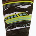 Bărbați Smartwool Snowboard Targeted Cushion Piste Machine OTC verde SW001922 șosete de snowboard SW001922 4