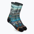 Șosete de trekking pentru femei Smartwool Hike Light Cushion Icy Range Print Crew colorate 01988