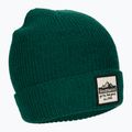 Căciulă de iarnă Smartwool Smartwool Patch verde smarald heather