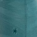 Bluză termică pentru femei Smartwool Intraknit Thermal Merino Baselayer Pattern Crew cascade 6
