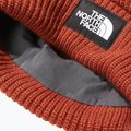 The North Face Capacul maro de brandy sărat 8