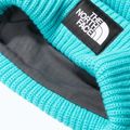 The North Face Salty apres șapcă albastră 3