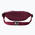 The North Face Lumbnical 4 l Boysenberry rinichi pliculeț de rinichi 2