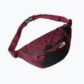The North Face Lumbnical 4 l Boysenberry rinichi pliculeț de rinichi 3