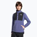 Hanorac bărbătesc The North Face Homesafe Homesafe Snap Neck Fleece Pullover pulover peșteră albastru/negru