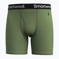 Bărbați Smartwool Merino Boxer Thermal Boxer Brief Boxed verde ferigă