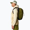 Rucsac de oraș The North Face Rodey 27 l forest olive/new taupe 7