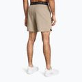 Pantaloni scurți de antrenament pentru bărbați Under Armour UA Vanish Woven 6in timberwolf taupe/negru 3