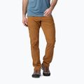 Pantaloni de trekking pentru bărbați Patagonia Terravia Alpine Pants trbn