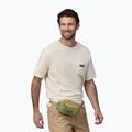 Borsetă Patagonia Ultralight Black Hole Mini Hip Pack 1 l buckhorn green 3