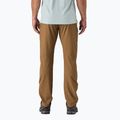 Pantaloni de trekking pentru bărbați Patagonia Terravia Trail Regular coriander brown 2
