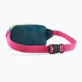 Borsetă  Patagonia Terravia Mini Hip buttercup yellow 2