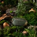 Borsetă Cotopaxi Kapai 1.5L Hip Pack del dia earth 6