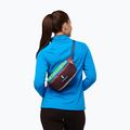 Borsetă Cotopaxi Bataan Fanny 3 l of the day 6