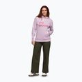 Hanorac pentru femei Cotopaxi Do Good Pullover Hoodie antique 2