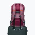 Plecak podróżny Cotopaxi Allpa Daypack 26 l fig 6