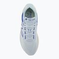 Pantofi de alergare pentru bărbați New Balance M1080V13 starlight 6