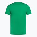 Tricou de tenis pentru bărbați Nike Court Dri-Fit Heritage stadium green 2