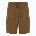 Pantaloni scurți pentru bărbați Vans Range Cargo Loose Short