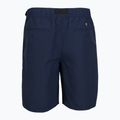 Pantaloni scurți pentru bărbați Vans Range Nylon Loose Short 2
