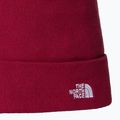 Căciulă de trekking pentru bărbați The North Face Norm Beanie beetroot 2