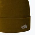 Căciulă de trekking pentru bărbaț The North Face Norm Beanie moss green 2