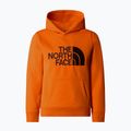 Hanorac pentru copii The North Face Drew Peak P/O Hoodie orange 4