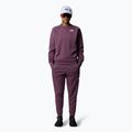 Hanorac pentru femei The North Face Mountain Athletics Fleece Crew midnight mauve 2