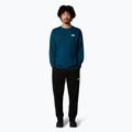 Longsleeve pentru bărbați  The North Face Simple Dome midnight petrol 2