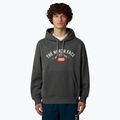 Tricou pentru bărbați The North Face Varsity Graphic medium grey heather