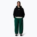 Hanorac pentru femei The North Face Essential Crop black 2