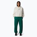 Hanorac pentru femei The North Face Essential Crop white dune 2