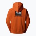 Bluză pentru bărbați The North Face Raglan Box Nse Hoodie earthen copper 2