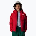 Geacă de puf pentru copii The North Face North Down Hooded red 4