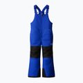 Pantaloni de schi pentru copii  The North Face Kid Freedom Insulated Bib blue 4