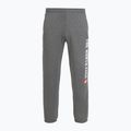 Pantaloni pentru bărbați The North Face Varsity Graphic medium grey heather