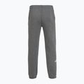 Pantaloni pentru bărbați The North Face Varsity Graphic medium grey heather 2