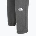 Pantaloni pentru bărbați The North Face Varsity Graphic medium grey heather 4