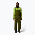 Pantaloni de schi pentru bărbați The North Face Verbier GTX Bib forest olive