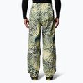 Pantaloni de schi pentru bărbați The North Face Build Up nettle the lift print 3
