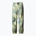 Pantaloni de schi pentru bărbați The North Face Build Up nettle the lift print 4