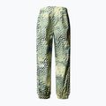 Pantaloni de schi pentru bărbați The North Face Build Up nettle the lift print 5
