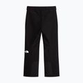 Pantaloni de schi pentru bărbați The North Face Descendit tnf black 4
