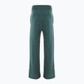 Pantaloni pentru femei Nike Sportswear Phoenix Fleece vintage green / sail 2